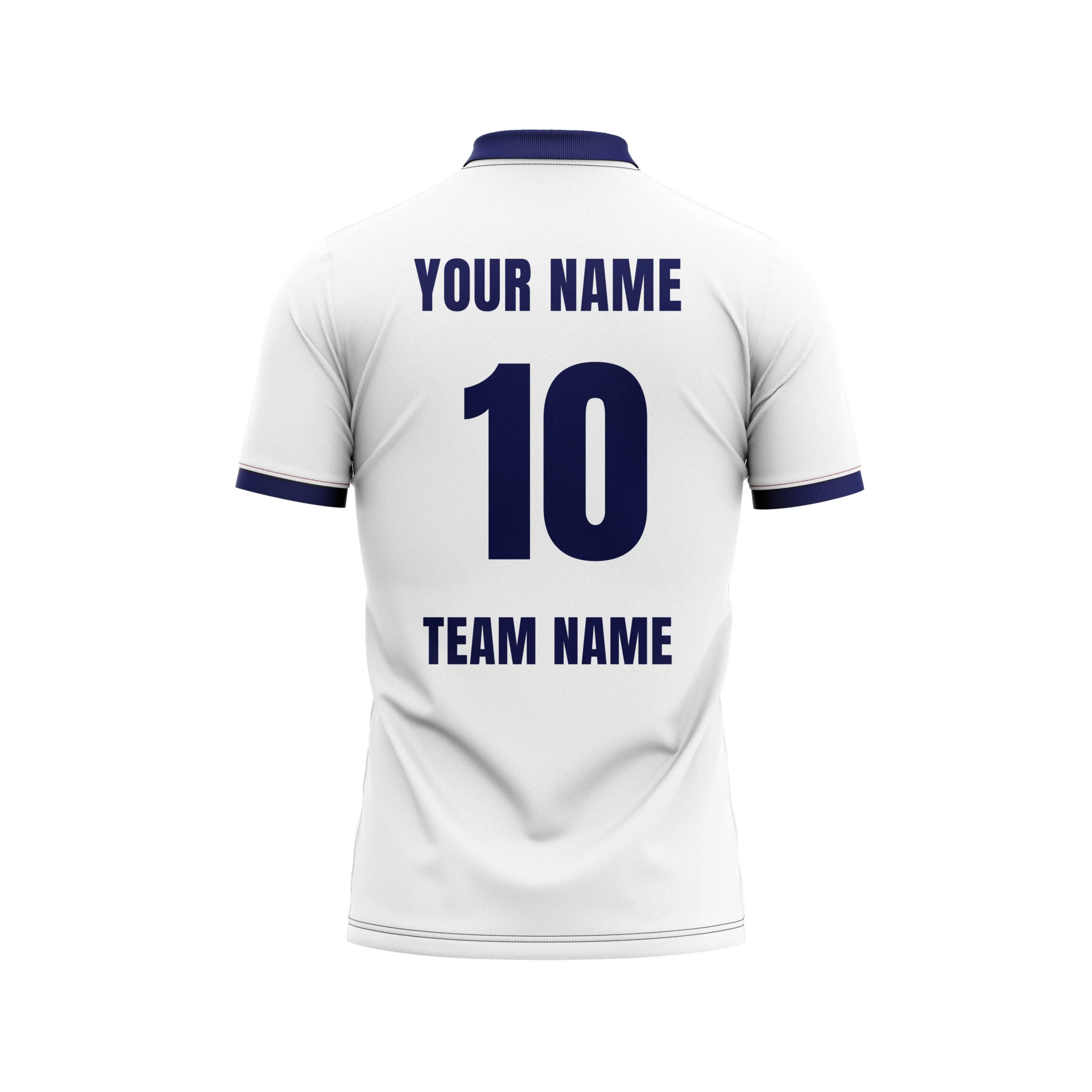 Blue Kites Cricket Custom Jersey view 2