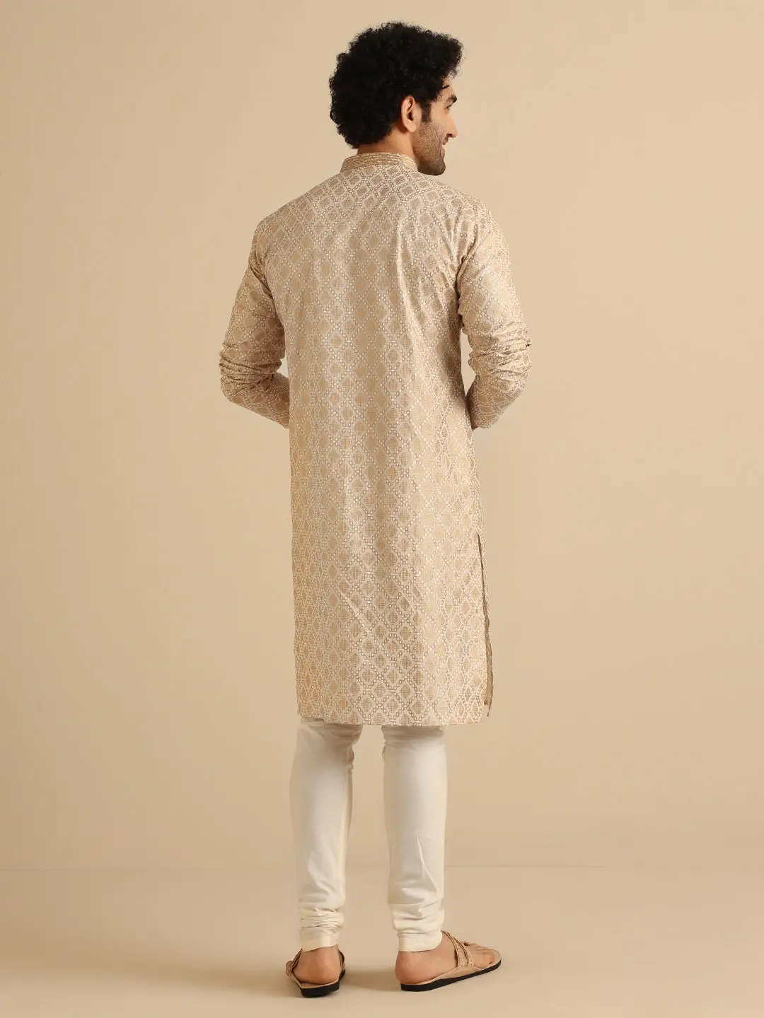 Beige Silk Blend Kurta with Intricate Woven Design and Mandarin Collar view 5